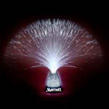 Fiber Optic Lamp w/ Crushed Fiber Tips